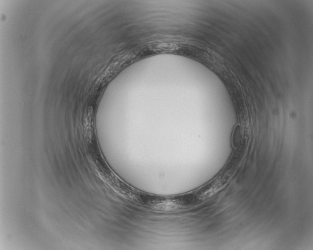 X0000052540460200507291855