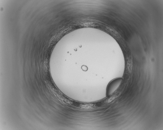 X0000052540461200507291855