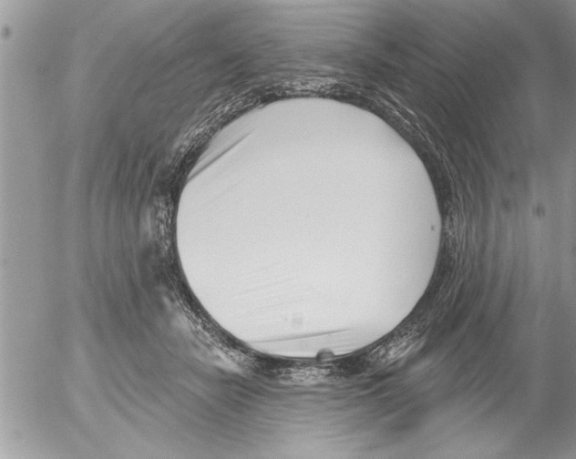 X0000052540462200507291855