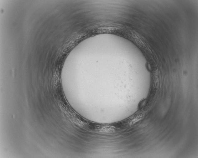 X0000052540463200507291855