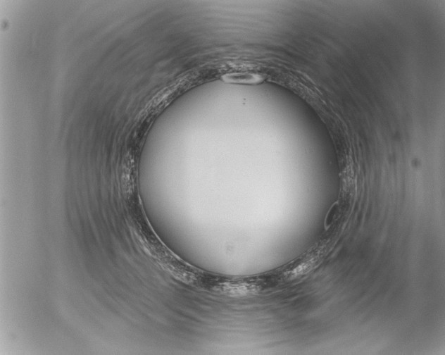 X0000052540464200507291855