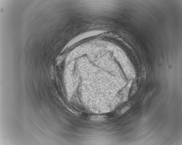 X0000052540465200507291855