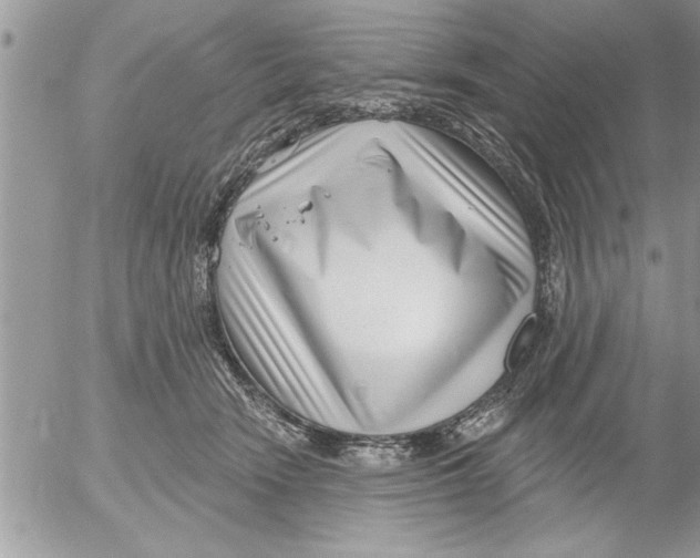 X0000052540466200507291855