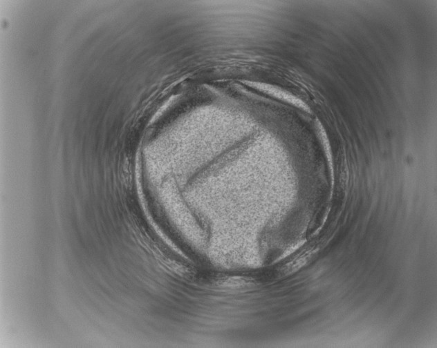 X0000052540467200507291855