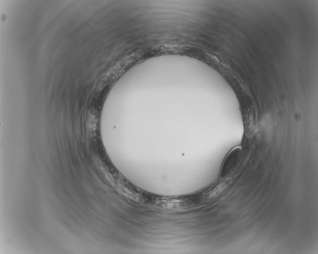 X0000052540472200507291855