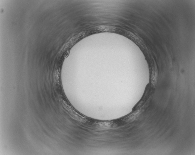 X0000052540473200507291855