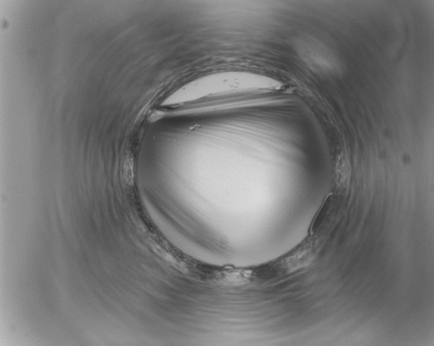 X0000052540474200507291855