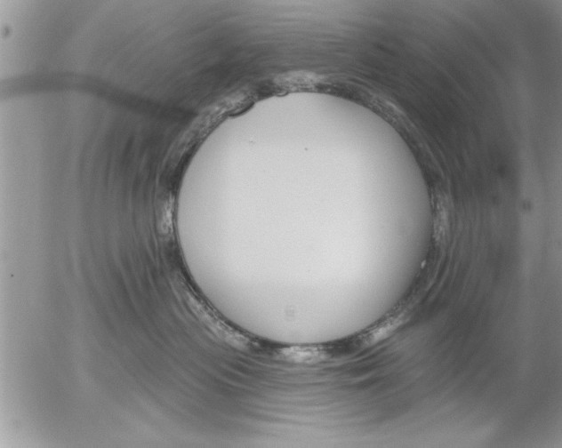 X0000052540477200507291855