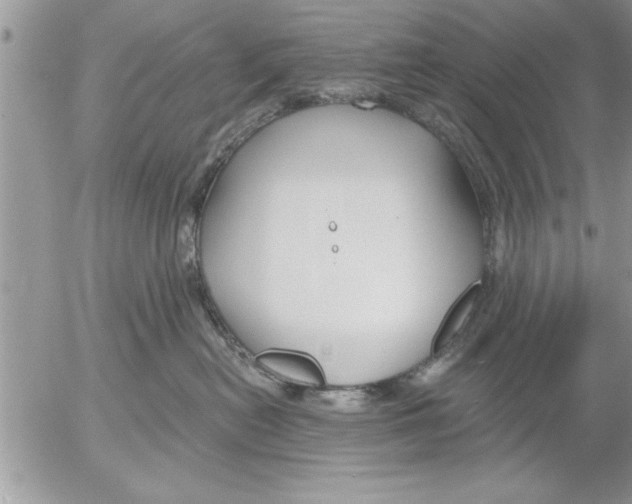 X0000052540478200507291855