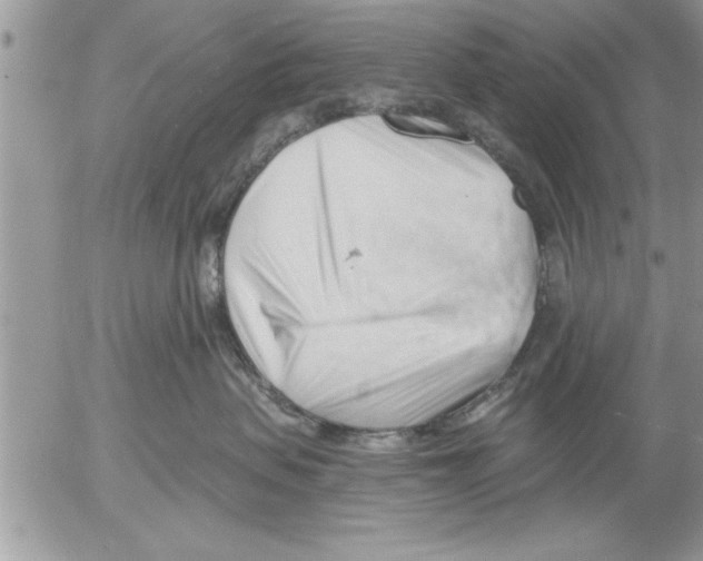 X0000052540479200507291855