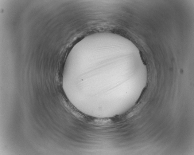 X0000052540480200507291855