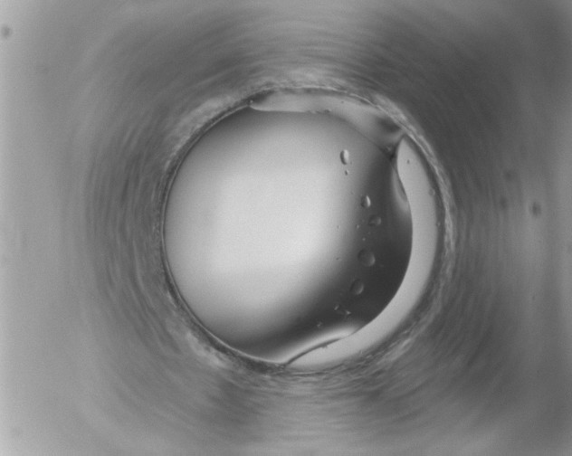 X0000052540481200507291854