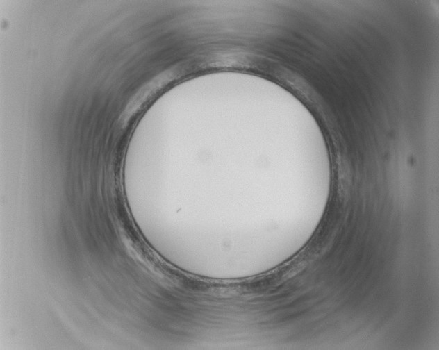 X0000052540482200507291854