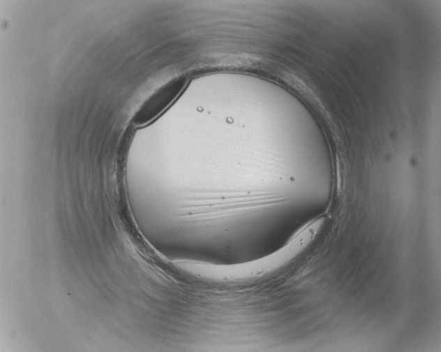 X0000052540483200507291854