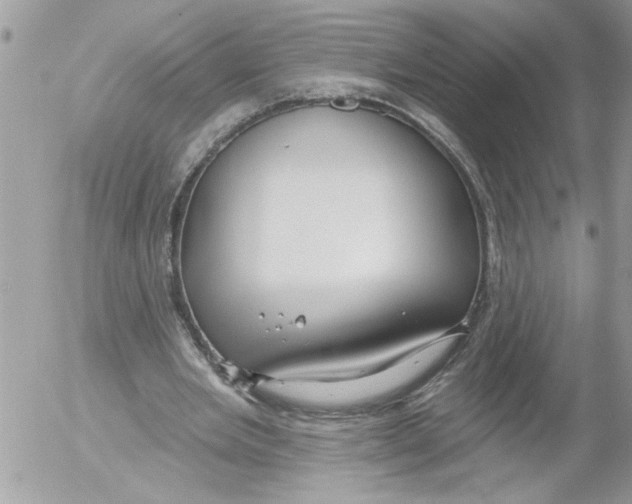 X0000052540485200507291854