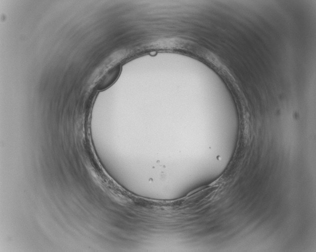 X0000052540486200507291854