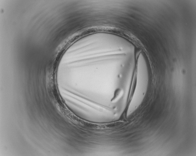 X0000052540487200507291854