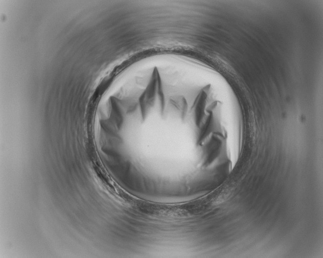 X0000052540488200507291854