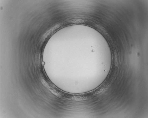 X0000052540490200507291854