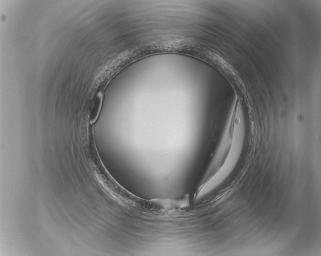 X0000052540493200507291854