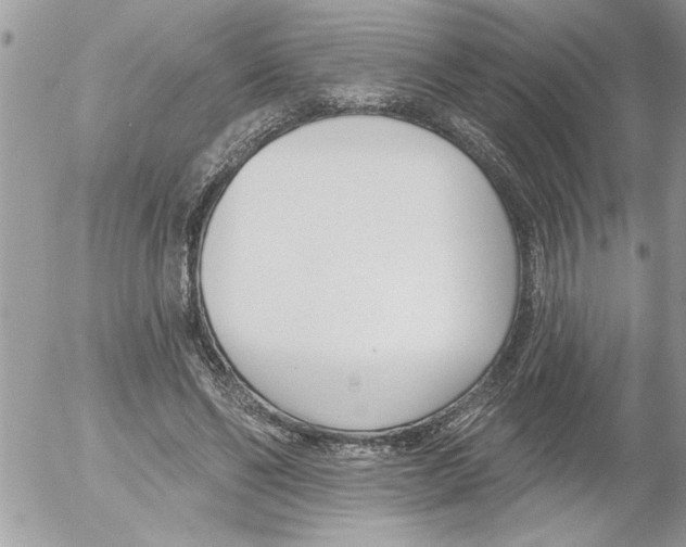 X0000052540494200507291854