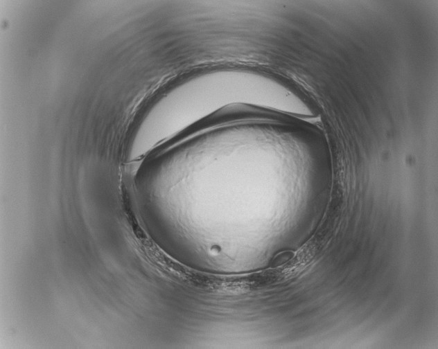 X0000052540495200507291854