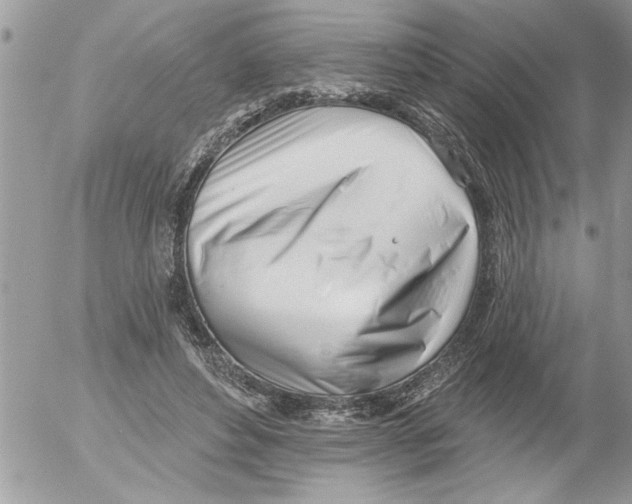 X0000052540496200507291854