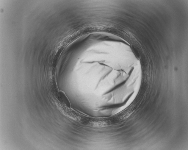 X0000052540500200507291854