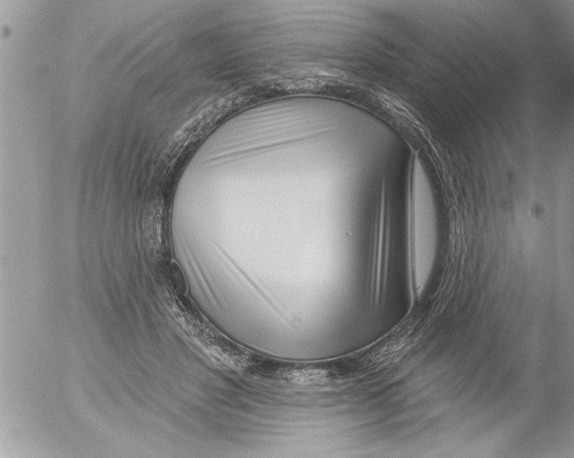 X0000052540501200507291854