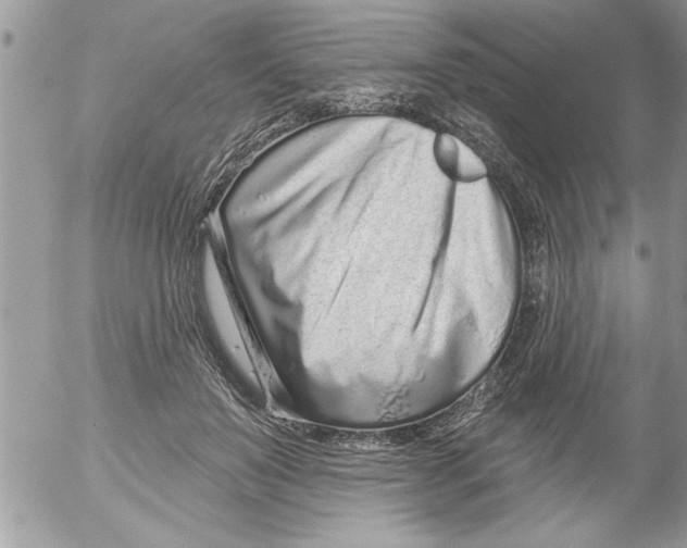 X0000052540503200507291854