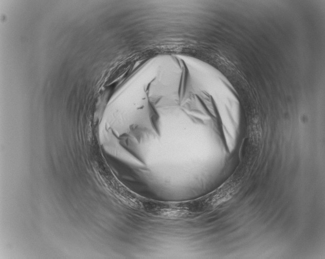 X0000052540504200507291854