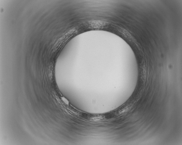 X0000052540505200507291854