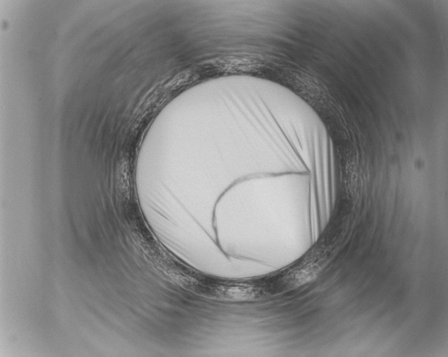 X0000052540506200507291854