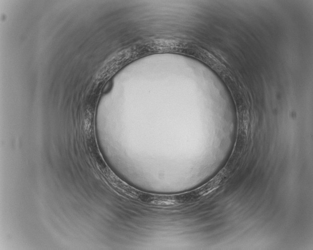 X0000052540507200507291854