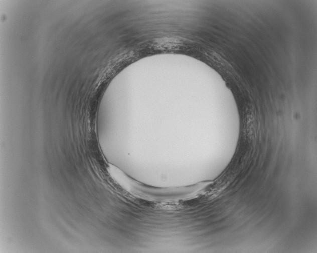 X0000052540508200507291854