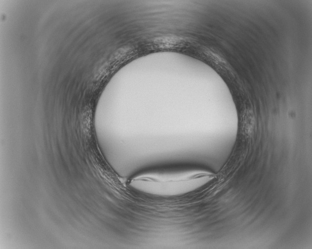 X0000052540509200507291854