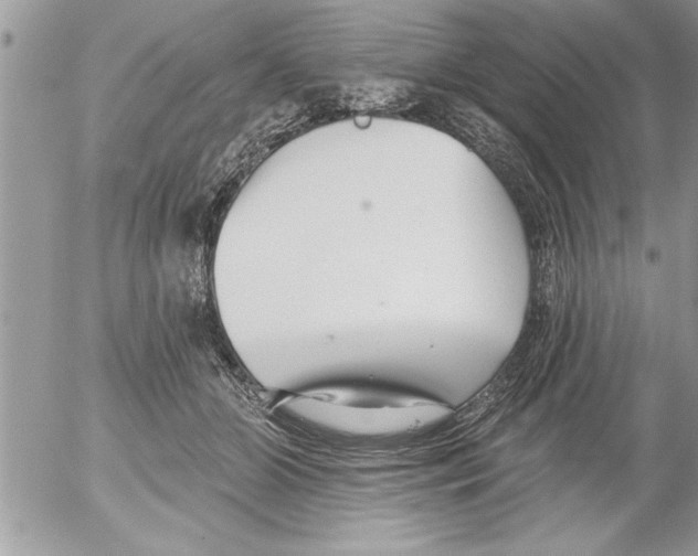 X0000052540510200507291854