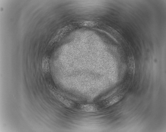 X0000052540511200507291854