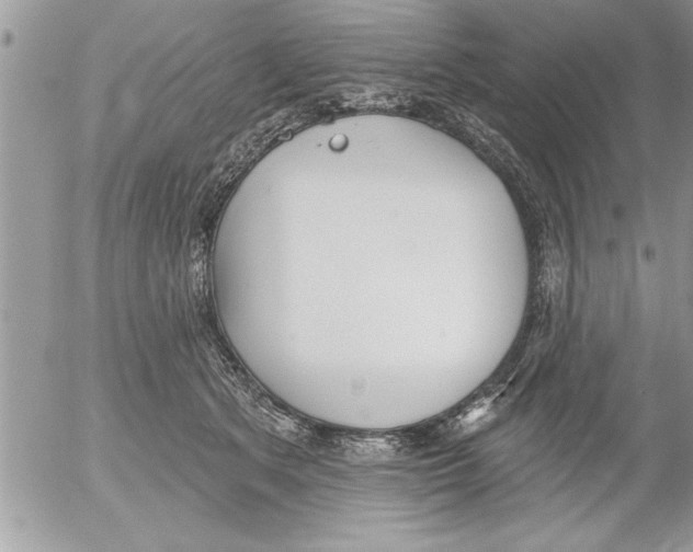 X0000052540513200507291854