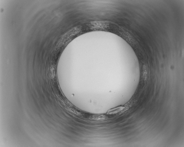 X0000052540514200507291854