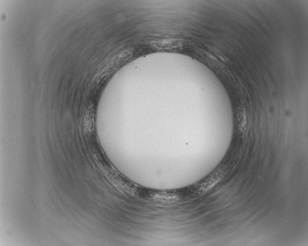 X0000052540515200507291854