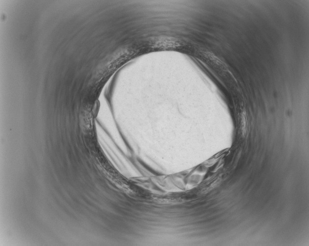 X0000052540517200507291854