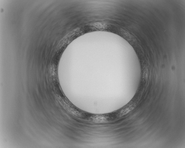 X0000052540518200507291853