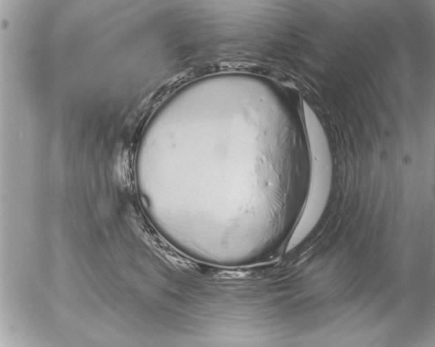 X0000052540519200507291853