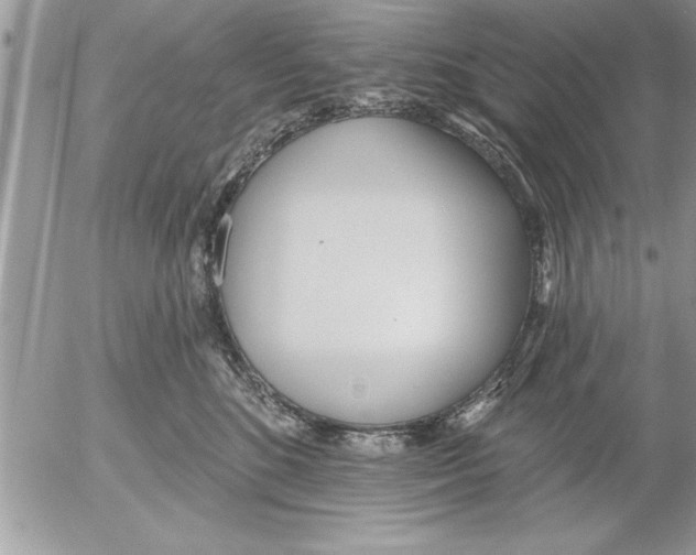 X0000052540520200507291853