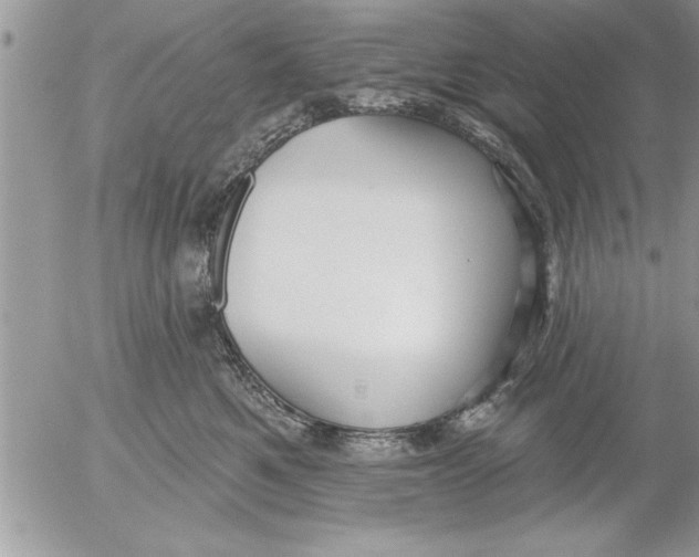 X0000052540521200507291853