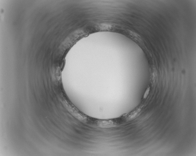 X0000052540525200507291853