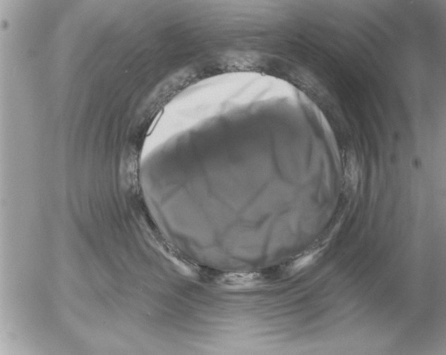 X0000052540526200507291853