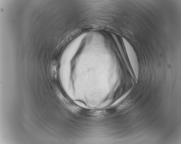 X0000052540527200507291853