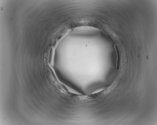 X0000052540528200507291853